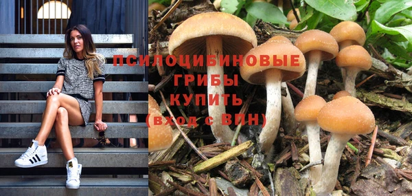 молекула духа Тавда